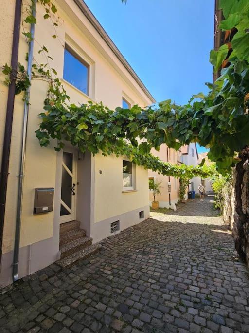 Casa Ciconia - Ueber Den Daechern Der Altstadt フラインスハイム エクステリア 写真