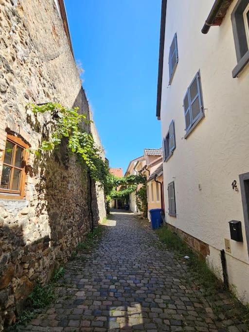Casa Ciconia - Ueber Den Daechern Der Altstadt フラインスハイム エクステリア 写真