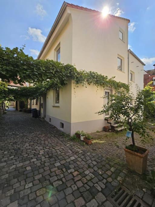 Casa Ciconia - Ueber Den Daechern Der Altstadt フラインスハイム エクステリア 写真