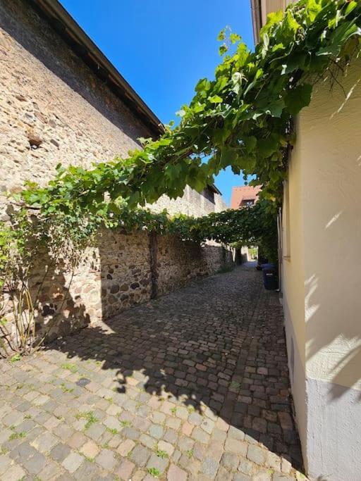 Casa Ciconia - Ueber Den Daechern Der Altstadt フラインスハイム エクステリア 写真