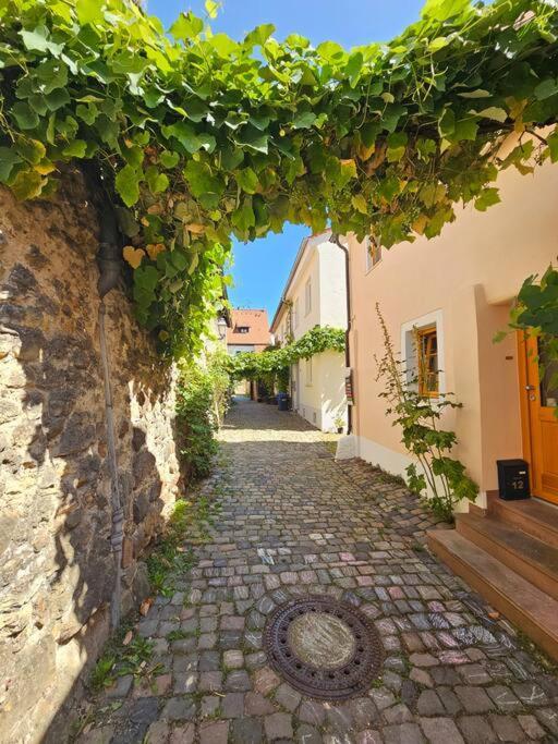 Casa Ciconia - Ueber Den Daechern Der Altstadt フラインスハイム エクステリア 写真